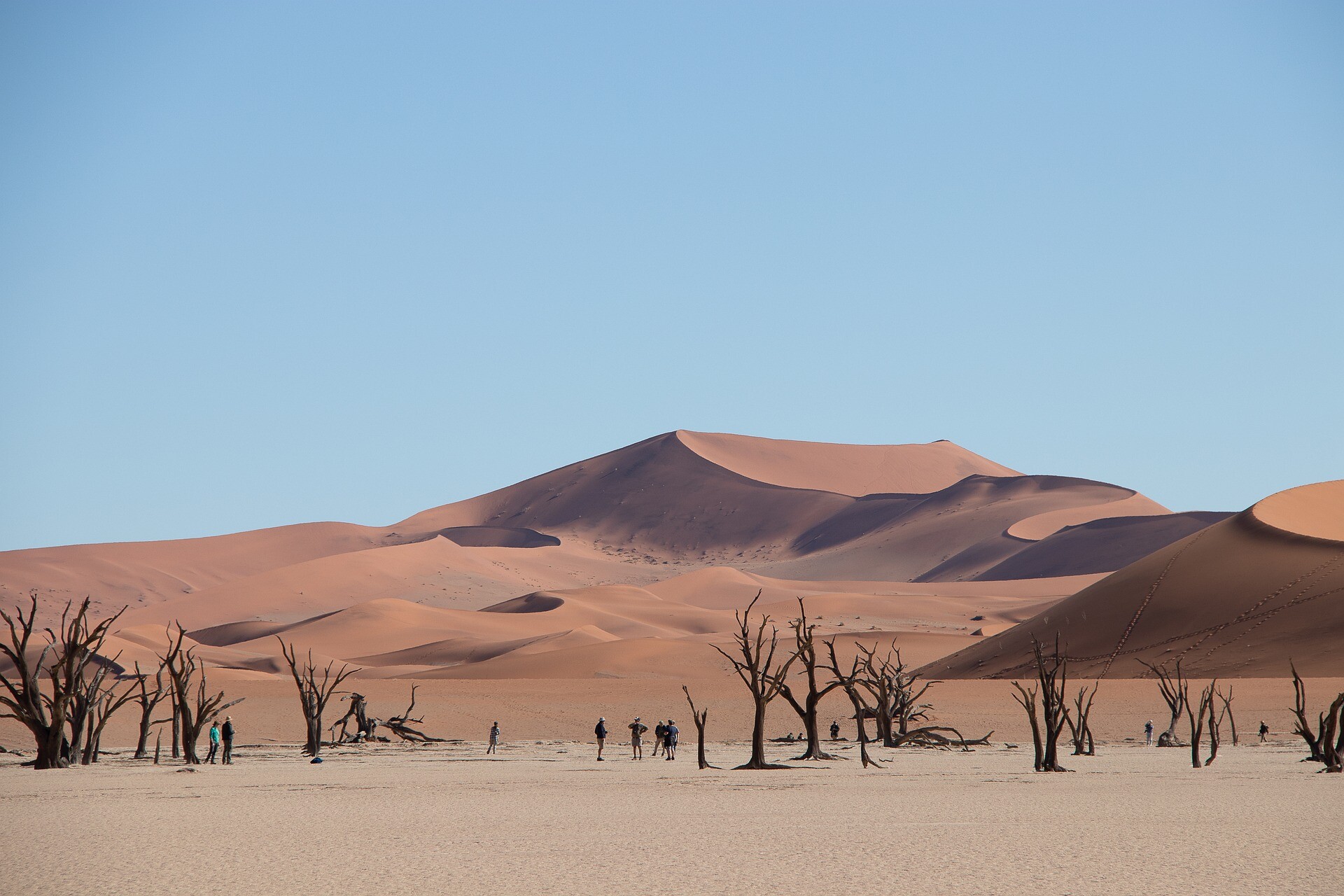 Die H&ouml;hepunkte Namibias | Gebeco Studienreise - Namibia