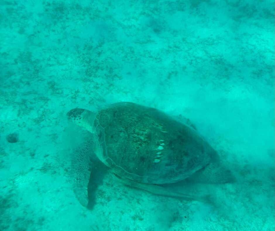 urlaub-in-agypten-hoteltest-in-marsa-alam-35